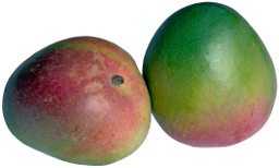 Owoce mango