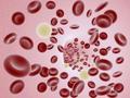 Morfologia krwi - jak czytać i jakie są normy?