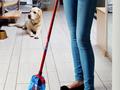 Cztery łapy w czterech kątach, czyli jak dbać o czystość, gdy mieszka z nami pies lub kot