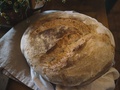 Jak samemu zrobić zakwas do chleba żytniego?