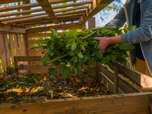 Przydomowy ogród w zasięgu ręki – jak samodzielnie wykonać skrzynki do uprawy warzyw i kompostownik?